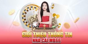Tìm hiểu về nhà cái MB66 uy tín 